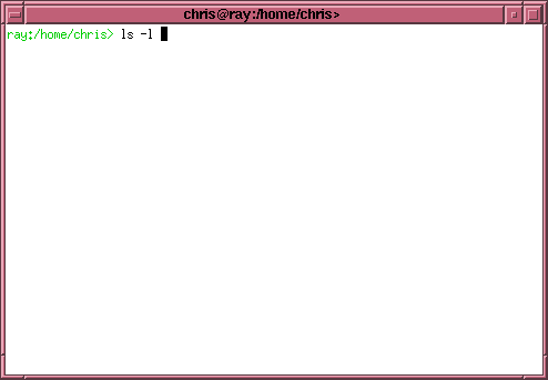 shell-im-xterm_ls.gif
